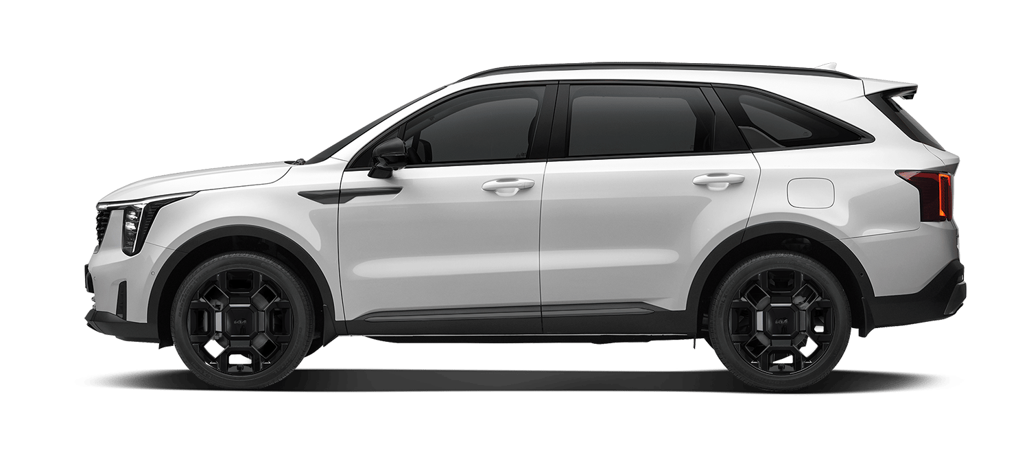 6인승 블랙 에디션 4WD A/T