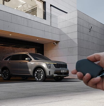 원격 스마트 주차 보조