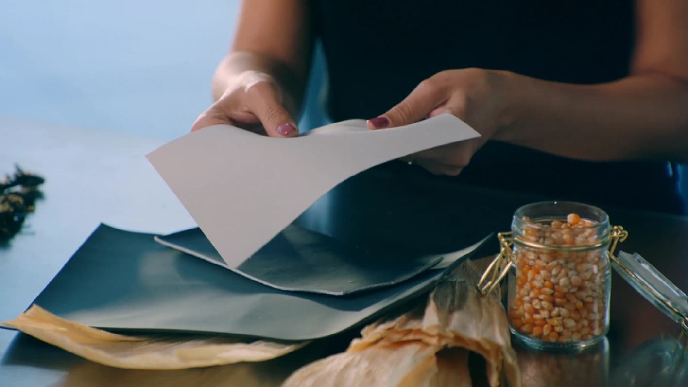 トウモロコシの粒と、バイオポリウレタン（BIO PU）の素材のサンプルを持つ手