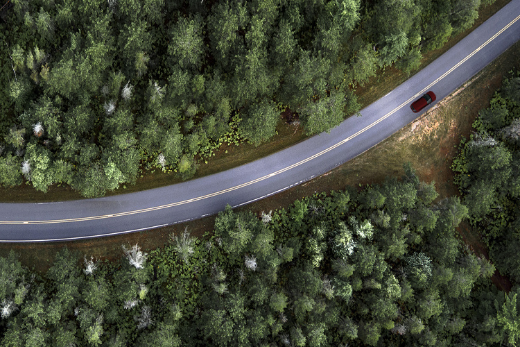  An overhead shot of a road winding through a forest, symbolizing Kia's focus on sustainability