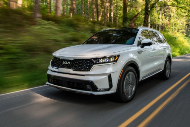2024 Kia Sorento Plug-In Hybrid Driving Fast On An Empty Road Through The Forest
