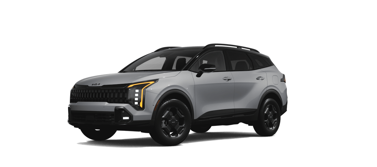 Sportage image