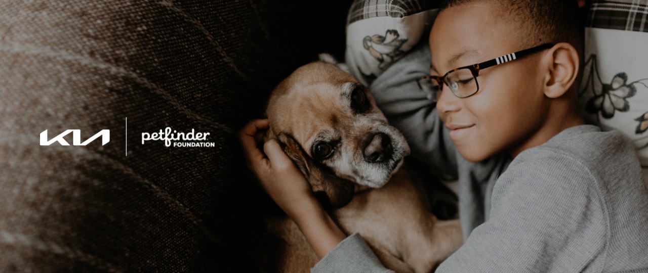 Kia and Petfinder Foundation have partnered to help shelter dogs find their forever homes